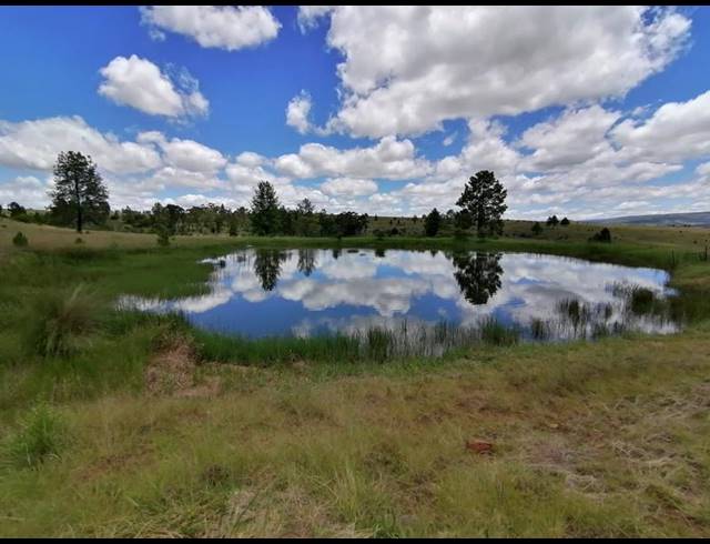 FARM FOR SALE IN LYDENBURG RURAL